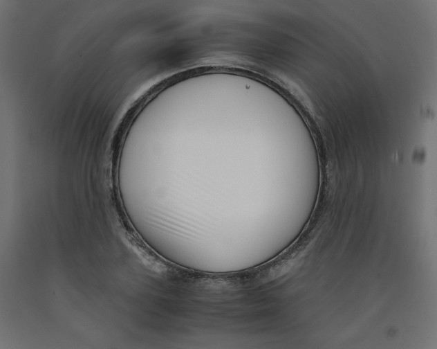 X0000092310931200710121455