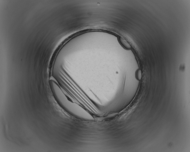 X0000092310932200710121455