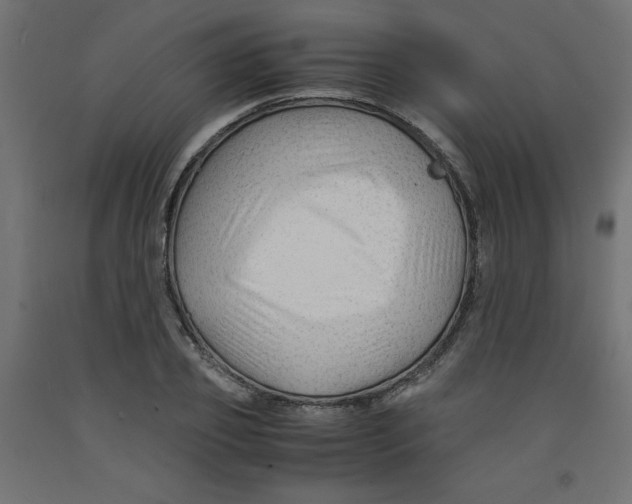 X0000092310933200710121455