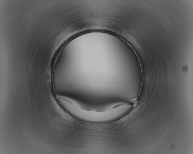 X0000092310934200710121455