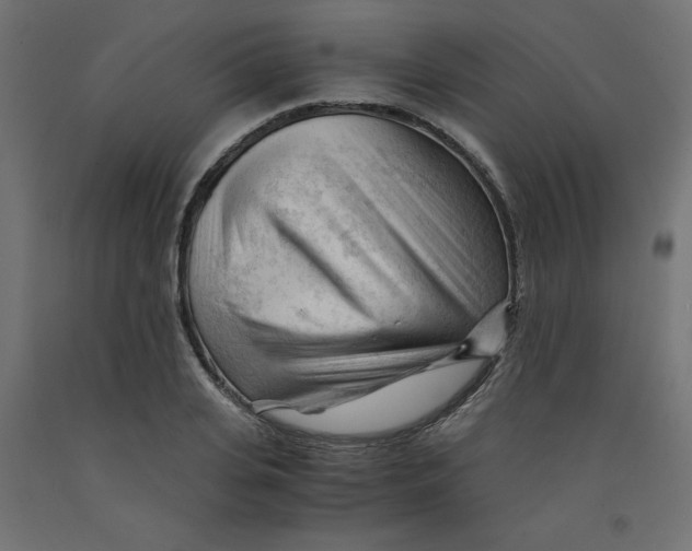 X0000092310935200710121455