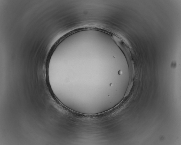 X0000092310936200710121455
