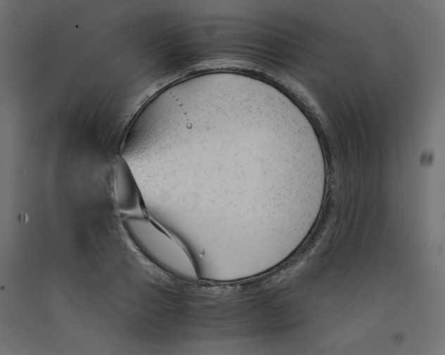 X0000092310937200710121455