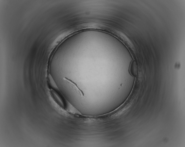 X0000092310938200710121455