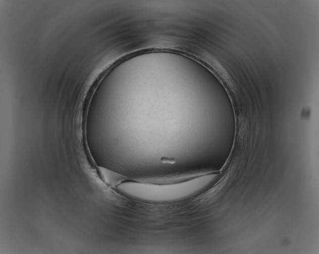 X0000092310939200710121455