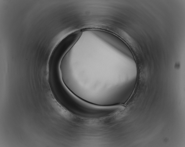 X0000092310940200710121455