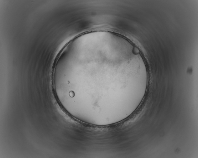 X0000092310941200710121455