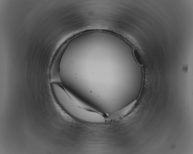 X0000092310942200710121455