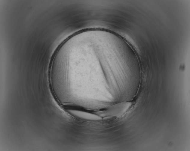 X0000092310943200710121455