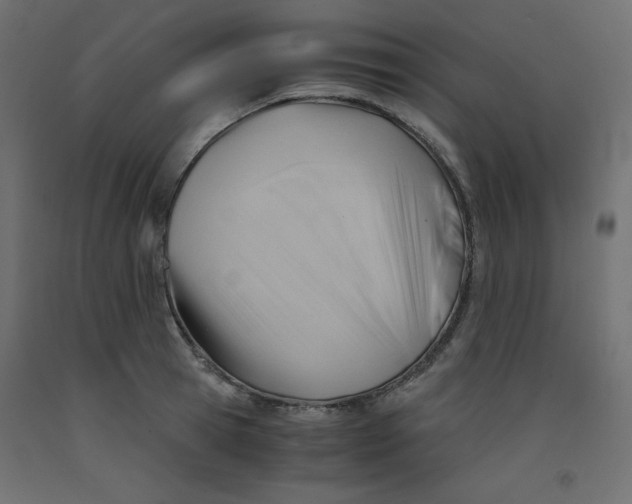 X0000092310945200710121455