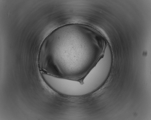 X0000092310946200710121455