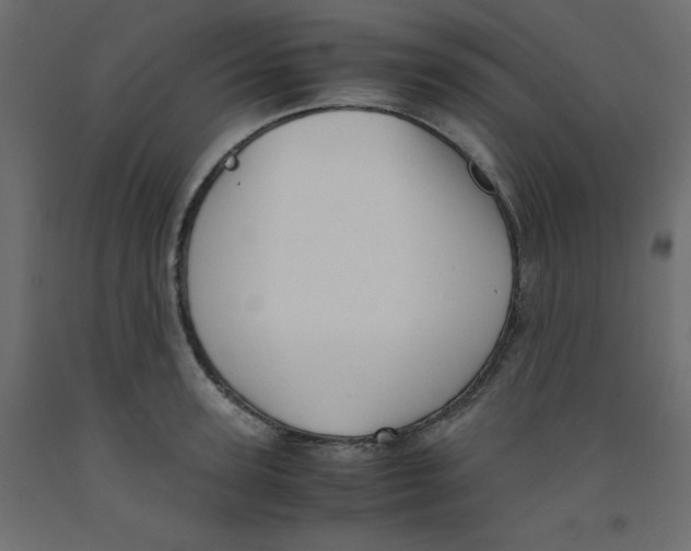 X0000092310947200710121455