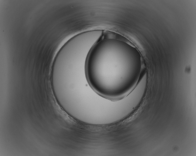 X0000092310948200710121455