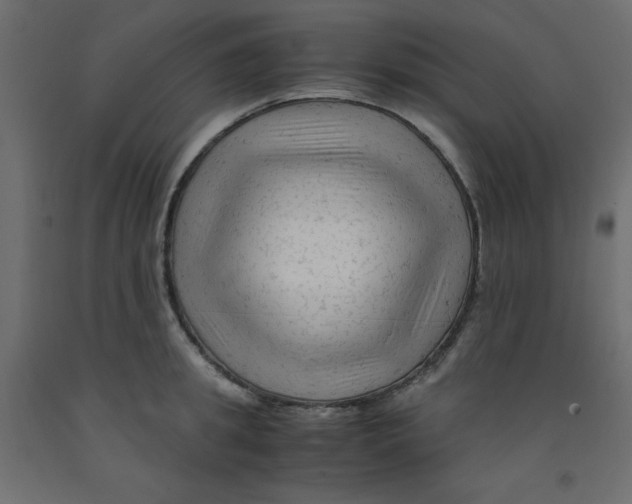 X0000092310949200710121455