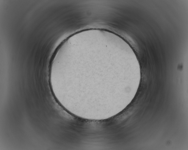 X0000092310950200710121455
