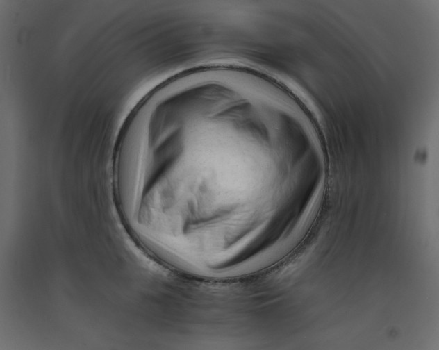 X0000092310951200710121455