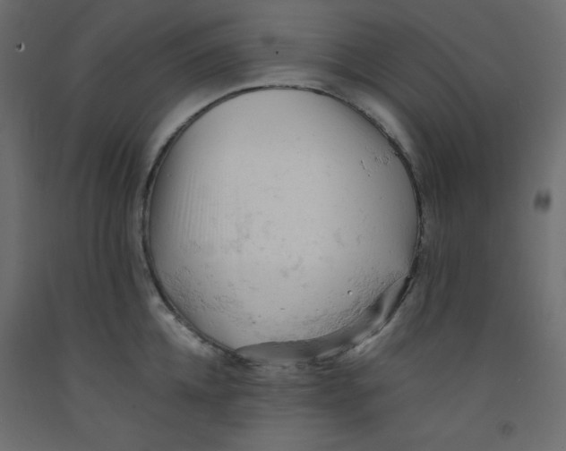 X0000092310952200710121455