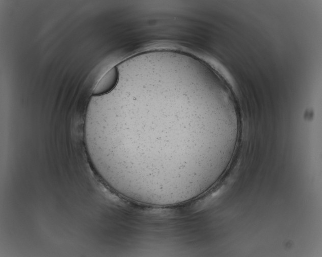 X0000092310953200710121455
