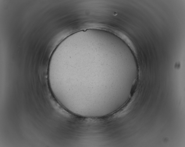 X0000092310954200710121455
