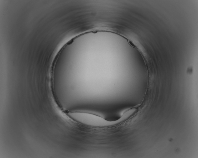 X0000092310955200710121455
