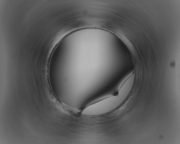 X0000092310956200710121455