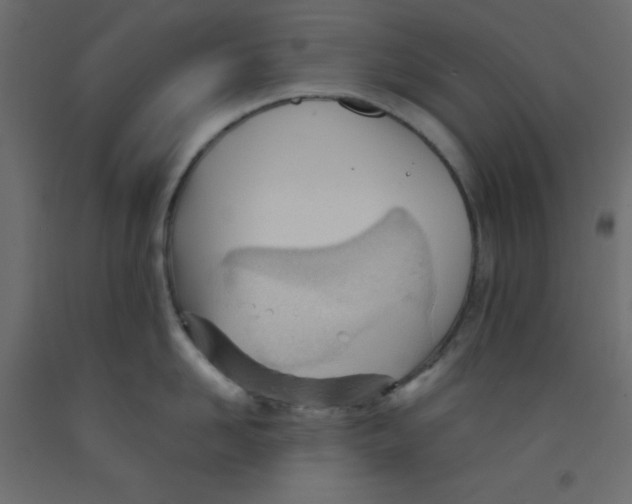 X0000092310958200710121455