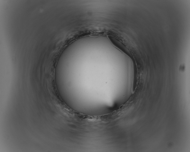 X0000092310961200710121455