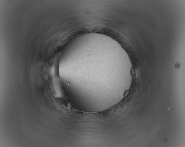 X0000092310963200710121455