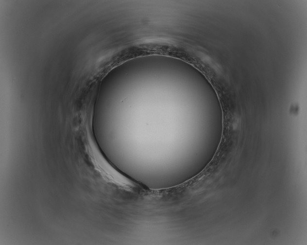 X0000092310965200710121455