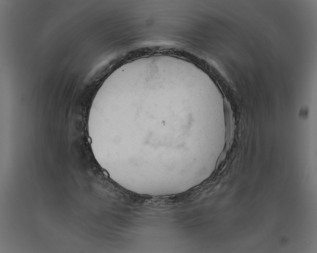 X0000092310967200710121455