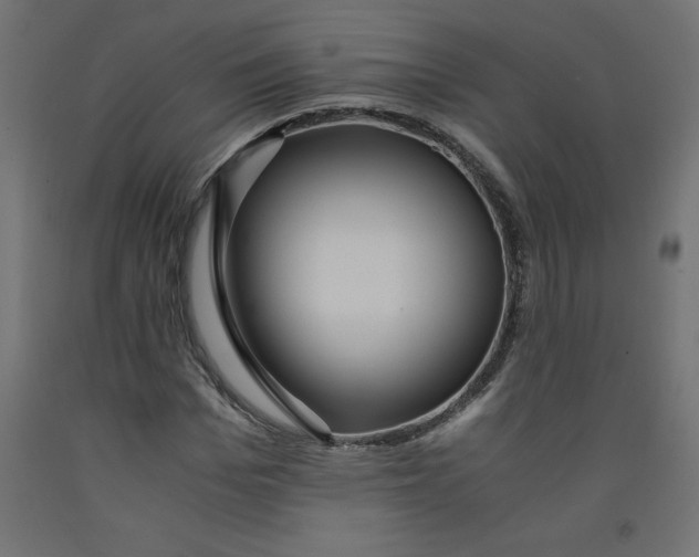 X0000092310969200710121455