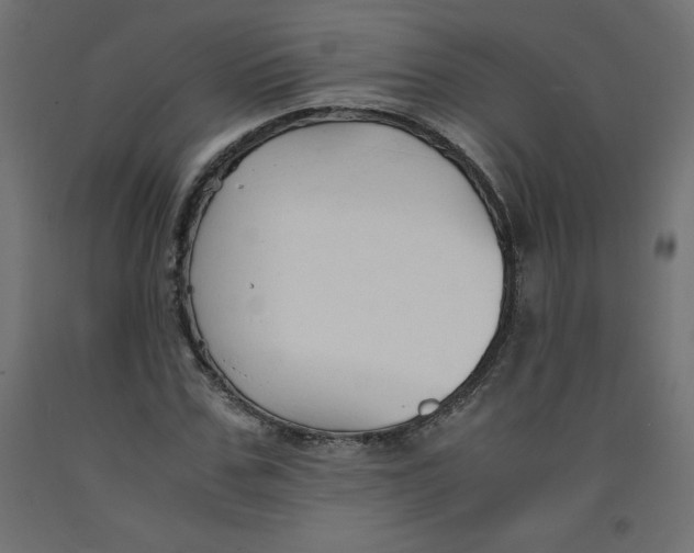 X0000092310971200710121455