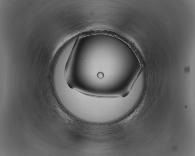 X0000092310973200710121455