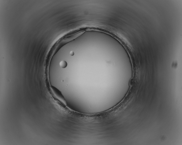 X0000092310976200710121455