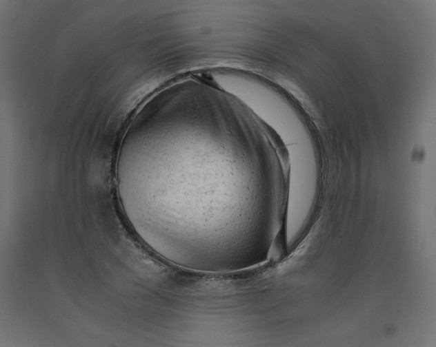 X0000092310977200710121455