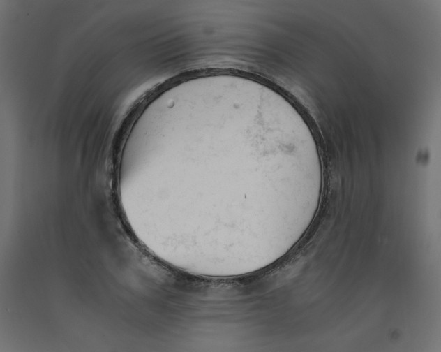 X0000092310979200710121455