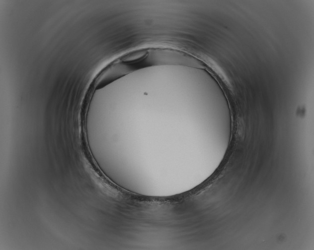 X0000092310980200710121455