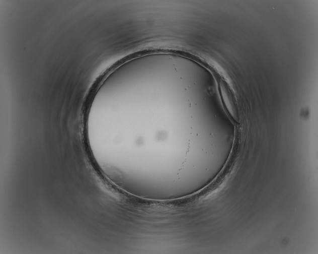 X0000092310981200710121454