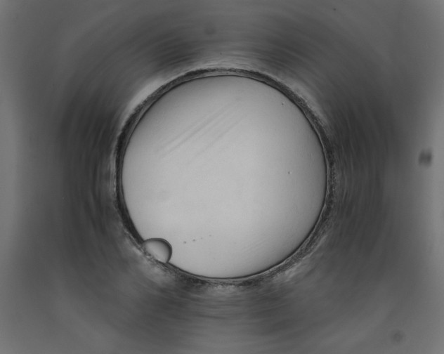 X0000092310982200710121454
