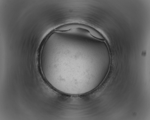 X0000092310983200710121454