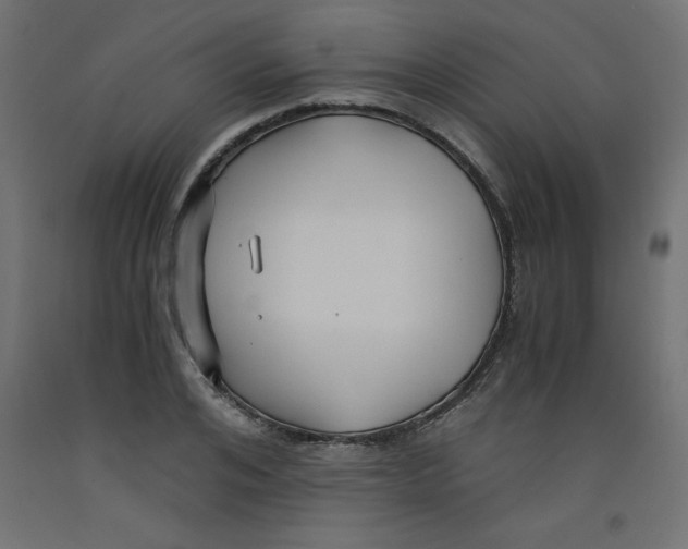 X0000092310984200710121454
