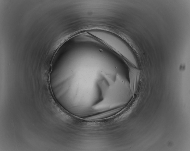 X0000092310985200710121454