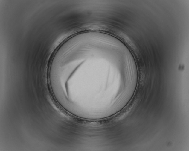 X0000092310986200710121454