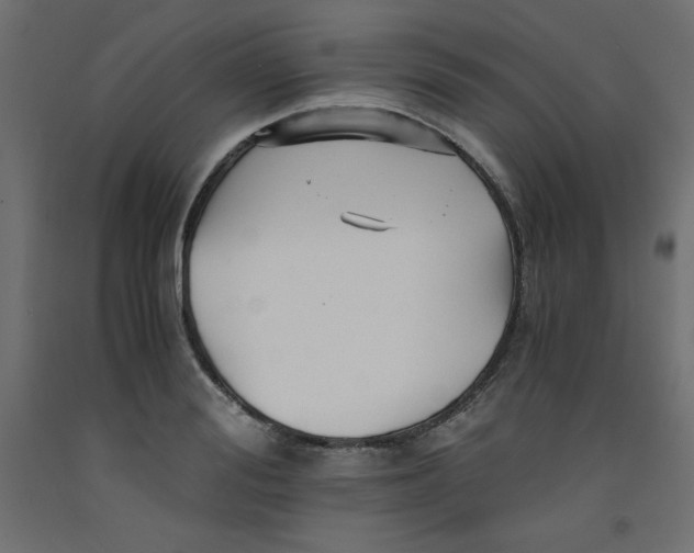 X0000092310988200710121454