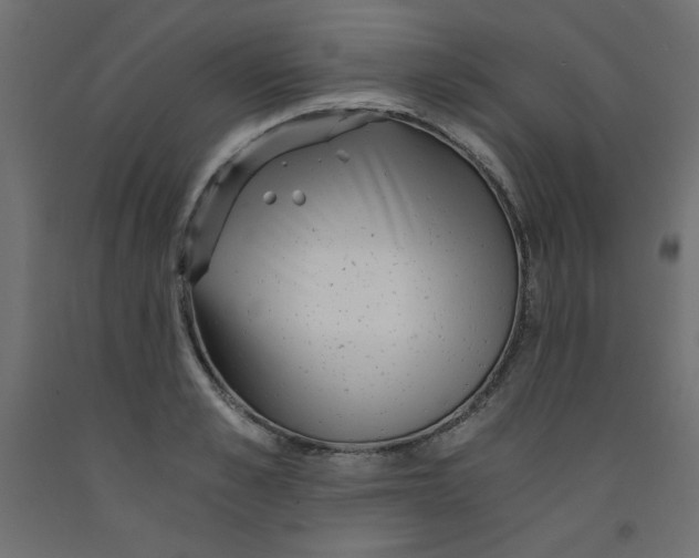 X0000092310989200710121454