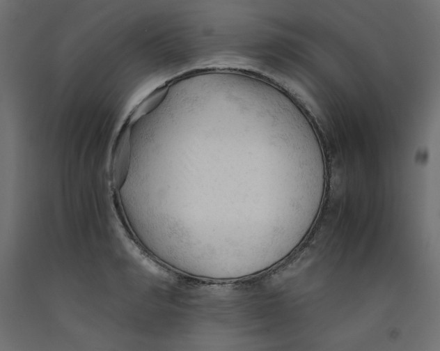 X0000092310990200710121454