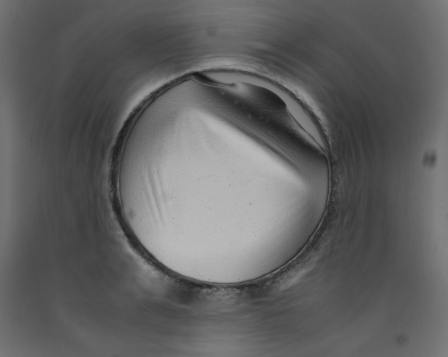 X0000092310991200710121454