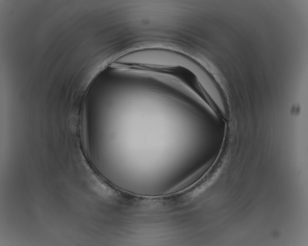 X0000092310993200710121454