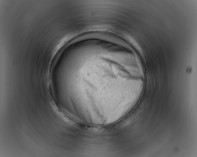X0000092310994200710121454