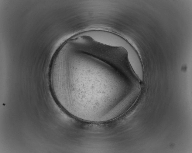 X0000092310995200710121454